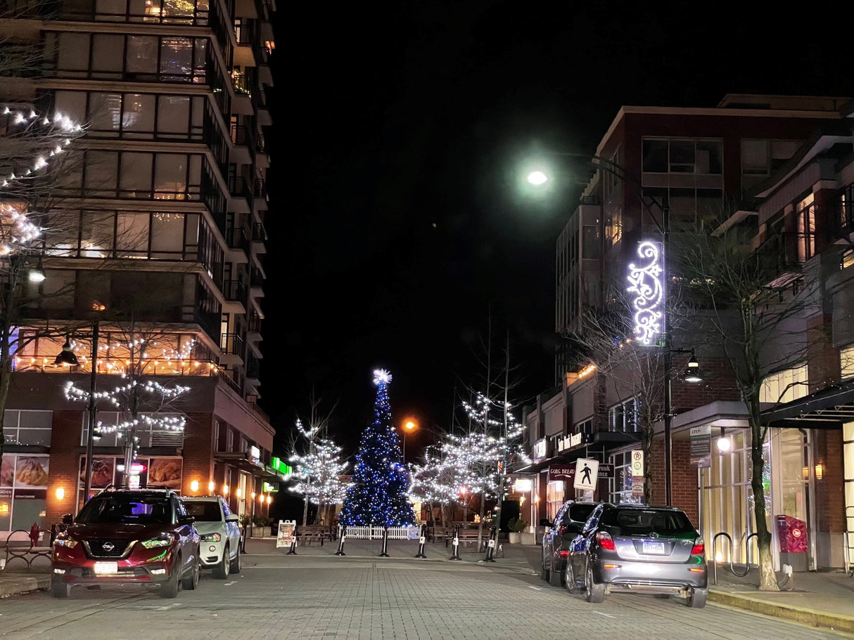 Elegant Stars Display