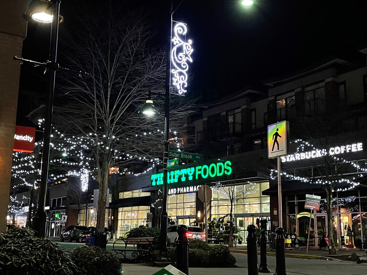 Elegant Stars Display