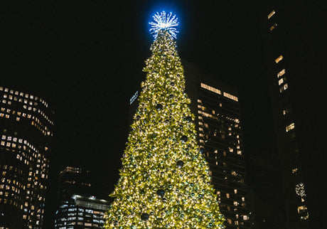 Bentall Center’s Giant Sequoia Tree Dekra-Lite Canada