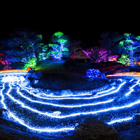 LED Ropelight + Neon Ropelight