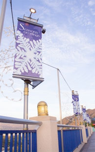 Traditional Banners