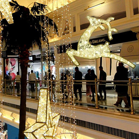 2D Waterloo Reindeer
