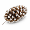 Frosted Pine Cones