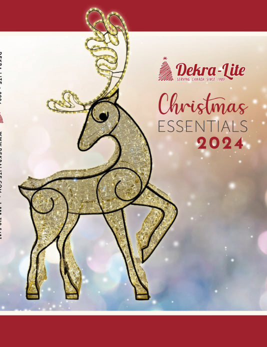 Catalogue Dekra Lite Store