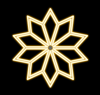 Orion Star