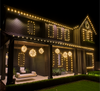 G30 LED Globe Bulb