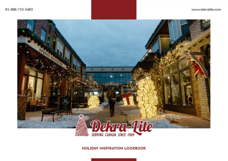 Catalogue Dekra Lite Store