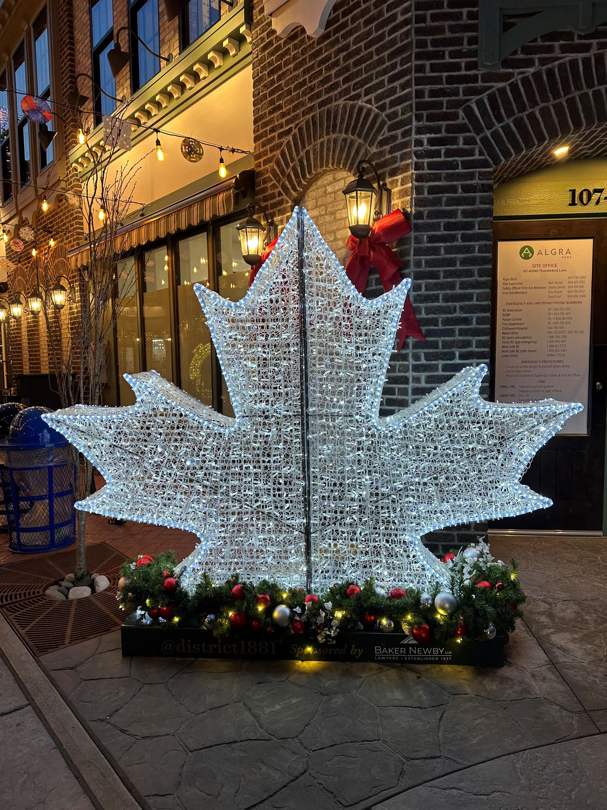 Trans Canada Maple Leaf