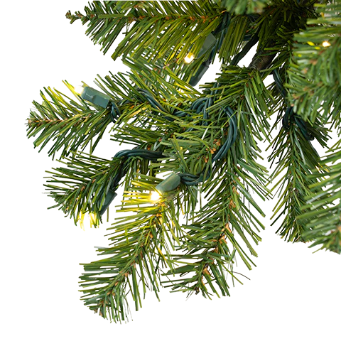 Mountain Pine Tree Collection