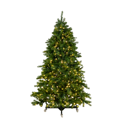 Mountain Pine Tree Collection