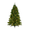 Mountain Pine Tree Collection