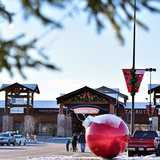 Giant High-Gloss Ornaments