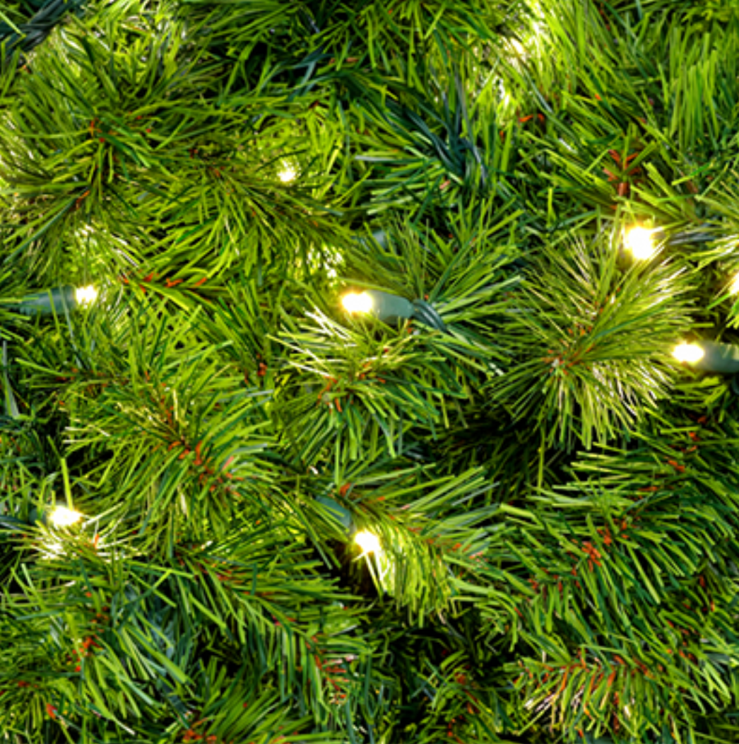 10' Mountain Pine Garland