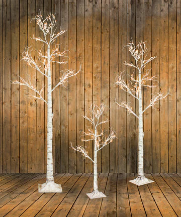 Birch Tree Collection