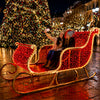 Illuminated Santa Sleigh