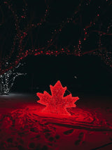 Trans Canada Maple Leaf