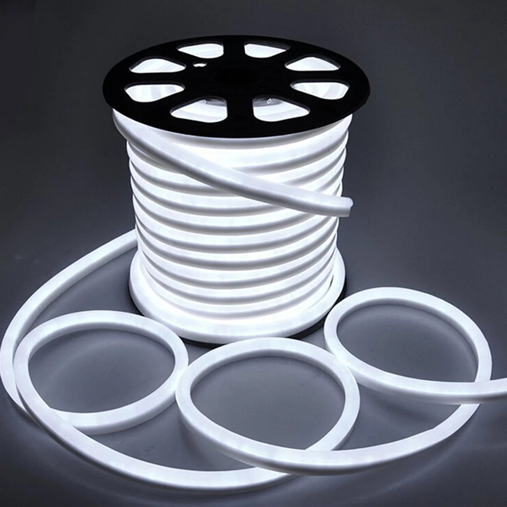 360 Neon Flexible Lighting