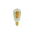 Vintage Bulbs - Large Amber Tinted 4 LEDS Edison Style